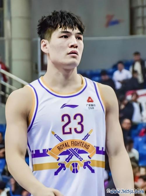 陈国豪25+9助北控横扫首钢 张宁23分领山西击败天津